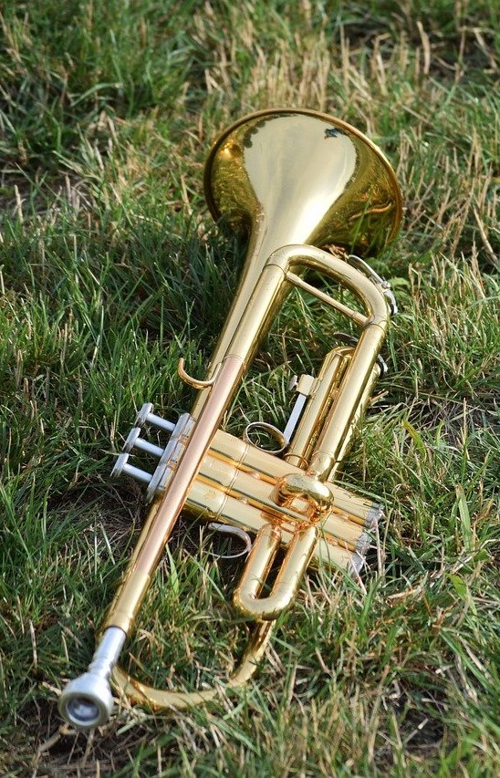Eine Trompete liegt im Gras